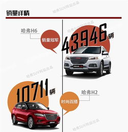 網(wǎng)通社汽車佳木斯安信 專業(yè)銷售服務(wù)，驅(qū)動(dòng)龍江出行新體驗(yàn)