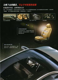 常德星都汽車銷售服務(wù) 專業(yè)品質(zhì)，駕享未來