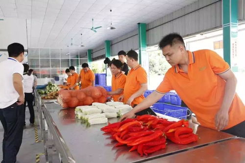 2019中央一號(hào)文件解讀 農(nóng)村電商迎六大政策利好，農(nóng)產(chǎn)品加工迎來新機(jī)遇