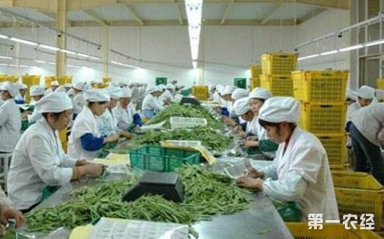 以技術(shù)集成基地為引擎 推動(dòng)農(nóng)產(chǎn)品加工產(chǎn)業(yè)轉(zhuǎn)型升級